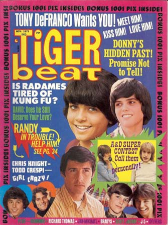 Tiger Beat teen magazine