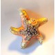 Ocean Starfish Keepsake memorial urn