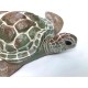 Biodegradable Turtle Urn for Water Burial