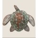 Biodegradable Turtle Urn for Water Burial