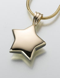 gold star urn necklace