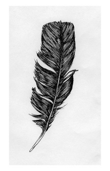 Crow Feather