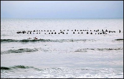 paddle out ceremony