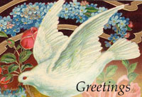 vintage dove postcard