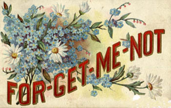 forget me not