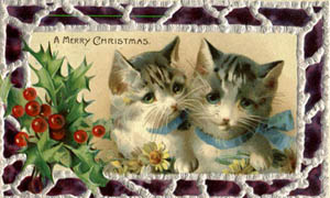 kitten chrismtas postcard