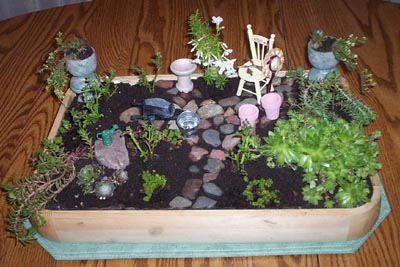 mini fairy garden