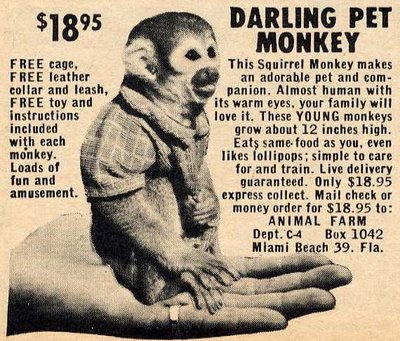 service monkey