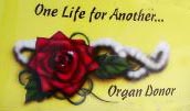 organ donation