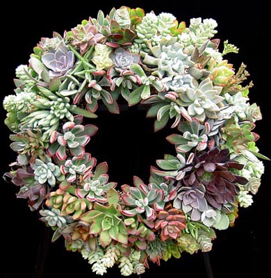 succulent wreath